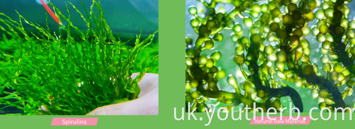 naturya organic spirulina powder